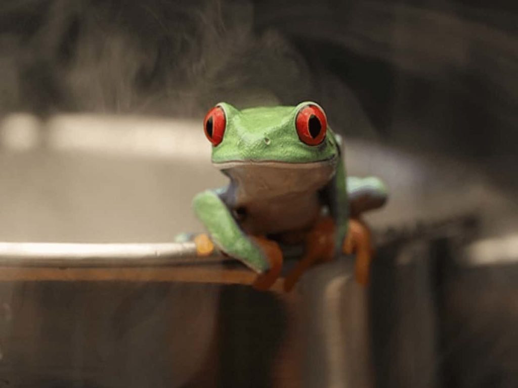 Boiling frog syndrome - symptomatic of market complacency Boiling frog Image